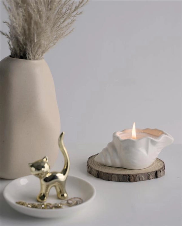 seashell candle