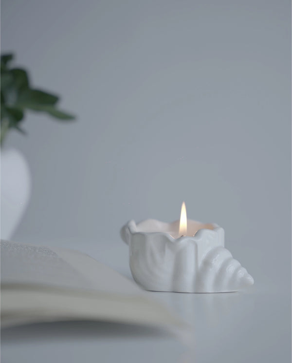 shell candle