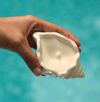 Wave Seashell Candle