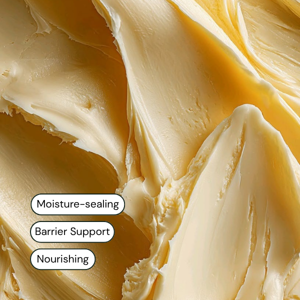 Cocoa Seed Butter 