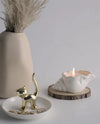 seashell candle